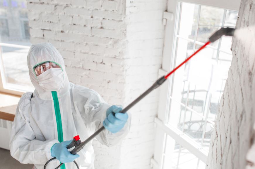 mold removal howell nj