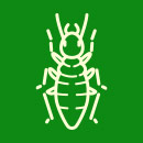 termite exterminator ocean county nj