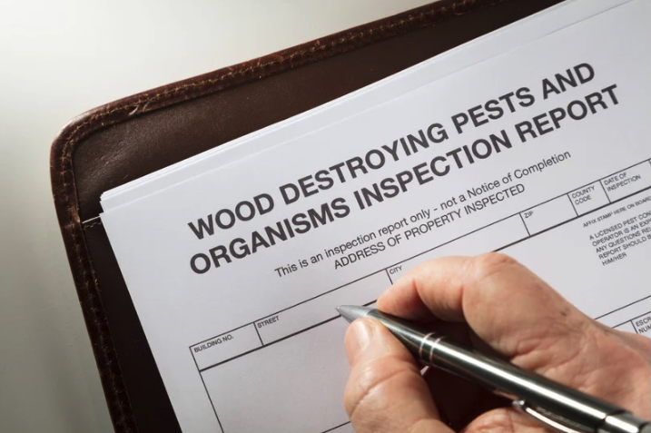 pest control inspection near me in Toms River, New Jersey