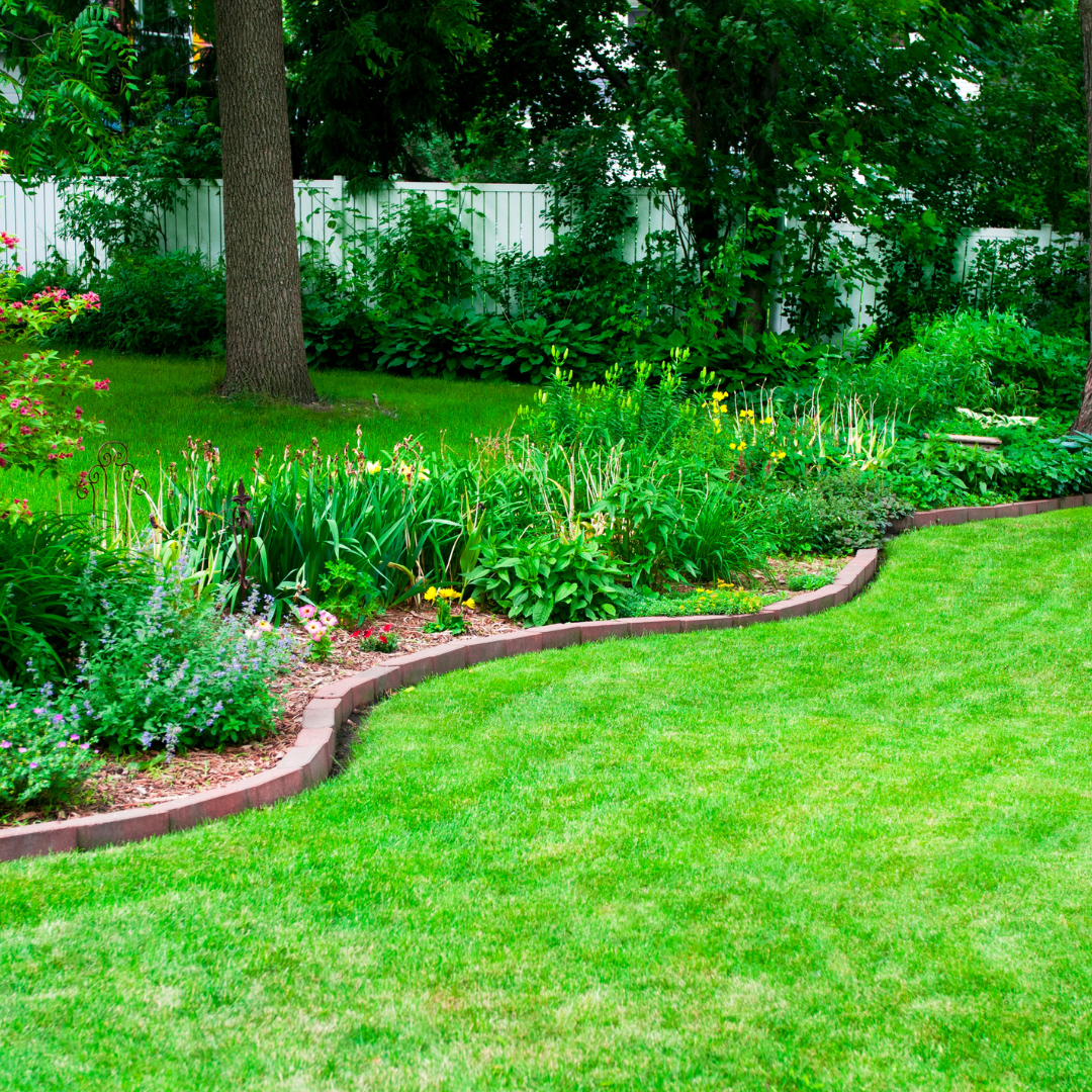 How to Get Rid of Grass Gnats And Take Back Your NJ Yard