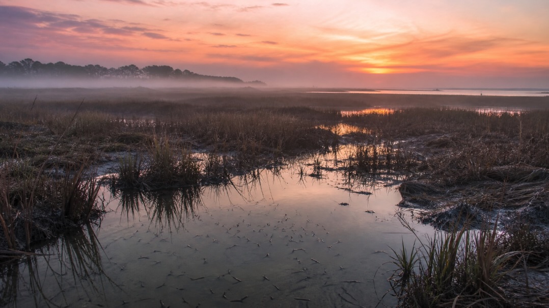 Why Mosquito Control Should Start in Early Spring in Ocean County, NJ
