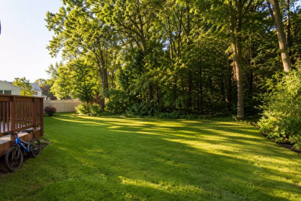 Suburban backyard in Ocean County NJ in July showing lawn edge bordering wooded area where ticks are most active
